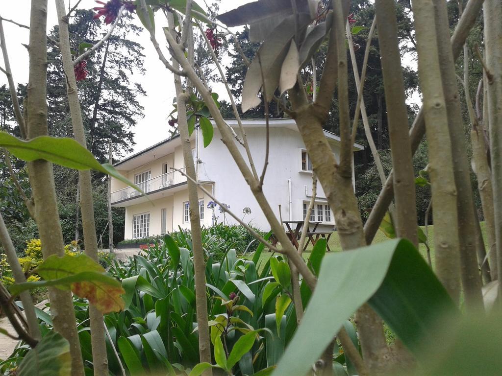 Park View Guest House นูวาราเอลิยา ภายนอก รูปภาพ